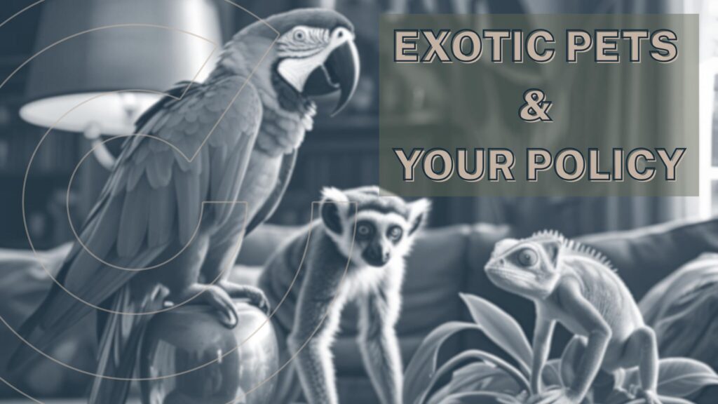 Exotic-Pets-Your-Policy-Blog-Banner